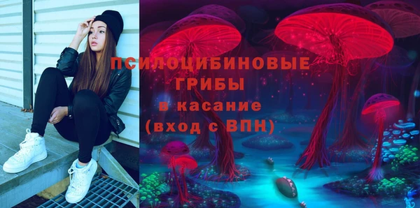 Альфа ПВП Алзамай