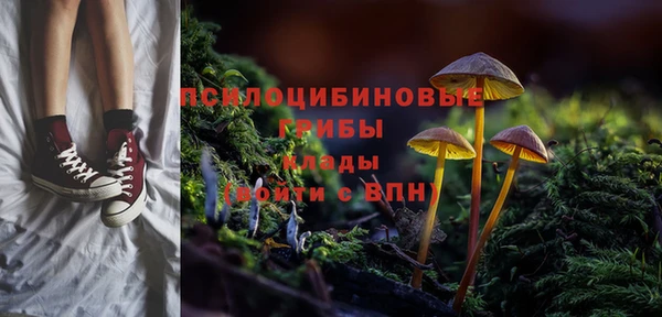 метамфетамин Алексин